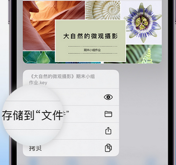 晴隆apple维修中心分享iPhone文件应用中存储和找到下载文件