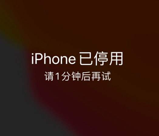 晴隆苹果手机维修分享:iPhone 显示“不可用”或“已停用”怎么办？还能保留数据吗？ 