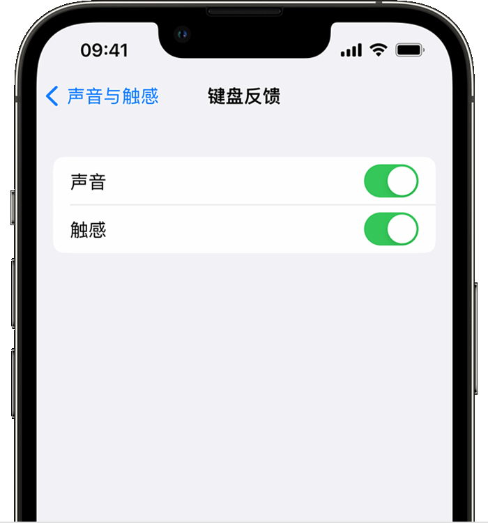 晴隆苹果14维修店分享如何在 iPhone 14 机型中使用触感键盘 