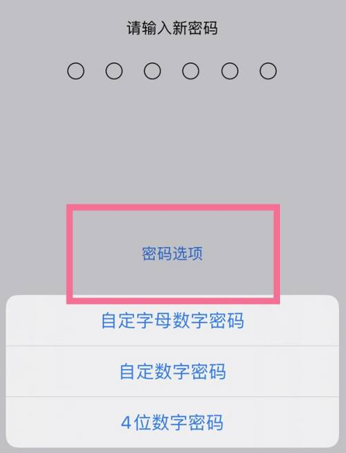 晴隆苹果14维修分享iPhone 14plus设置密码的方法 