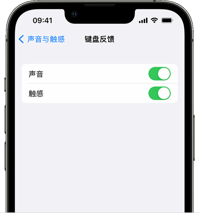 晴隆苹果14维修分享iPhone 14 系列机型如何开启键盘声音或触感反馈 