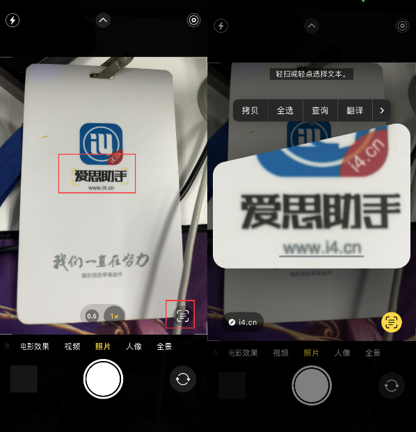 晴隆苹果手机维修分享升级iOS 16后如何通过相机翻译文本 
