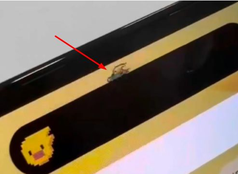 晴隆苹果14维修分享iPhone 14 Pro Max灵动岛怎么养宠物 