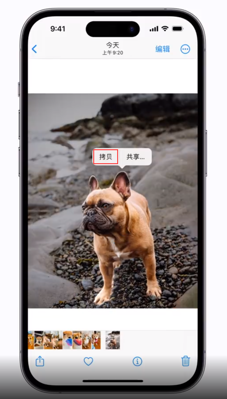 晴隆苹果手机维修分享 iOS 16 自带一键抠图功能 