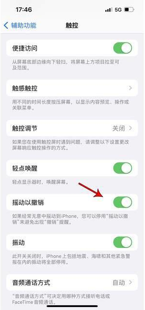 晴隆苹果手机维修分享iPhone手机如何设置摇一摇删除文字 