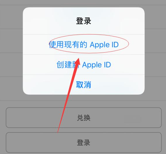 晴隆苹果手机维修分享两台iPhone设备可以同时登录一个Apple ID吗 