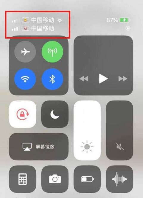 晴隆苹果手机维修分享为 iPhone 12 双卡设置标签 