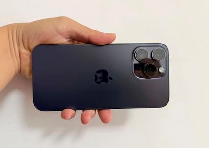 晴隆苹果维修点分享iPhone 14 Pro Max黑屏少见故障盘点 
